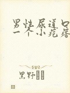 男性尿道口长了一个小疙瘩是怎么回事封面