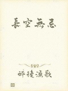 长空无忌封面