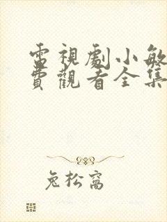 电视剧小敏家免费观看全集40集封面