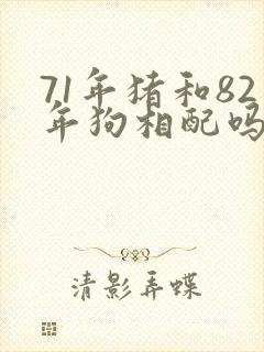 71年猪和82年狗相配吗?