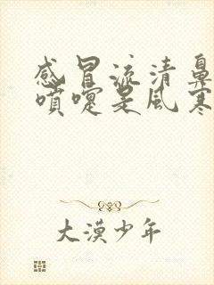 感冒流清鼻涕打喷嚏是风寒还是风热