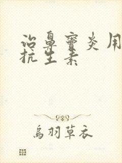 治鼻窦炎用什么抗生素