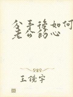 分手后如何挽回老公的心封面