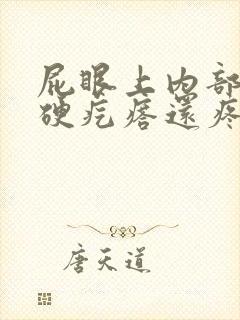 屁眼上内部有个硬疙瘩还疼