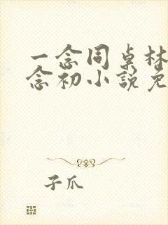 一念同桌林舟许念初小说免费阅读封面