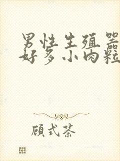 男性生殖器长了好多小肉粒