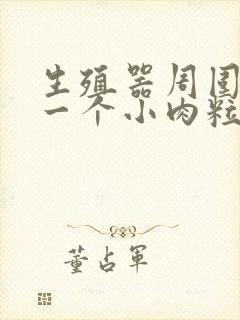 生殖器周围长了一个小肉粒