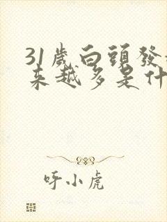 31岁白头发越来越多是什么原因