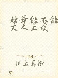 姑爷能不能给老丈人上坟