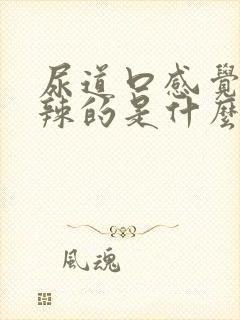 尿道口感觉火辣辣的是什么原因