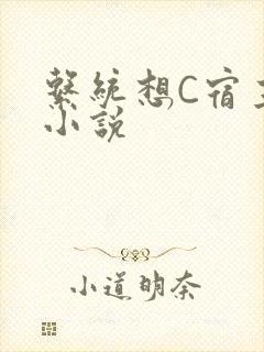 系统想C宿主的小说