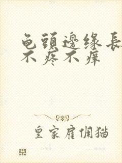 龟头边缘长疙瘩不疼不痒