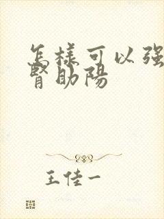 怎样可以强肾补肾助阳