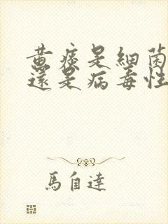 黄痰是细菌感染还是病毒性感染封面