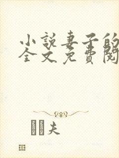 小说妻子的秘密全文免费阅读全文