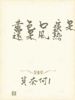 黄色口痰是风寒还是风热