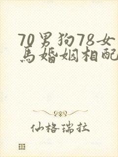 70男狗78女马婚姻相配吗