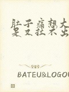 肚子痛想大便但是又拉不出来是什么原因