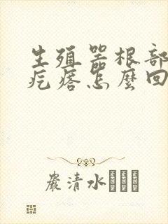 生殖器根部长硬疙瘩怎么回事