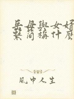 岳母与女婿的关系简称什么封面