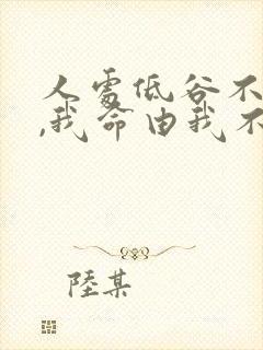 人处低谷不自弃,我命由我不由天封面