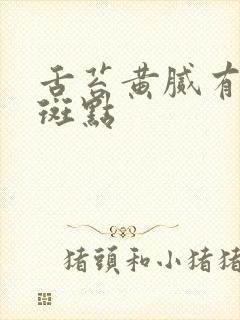 舌苔黄腻有红色斑点