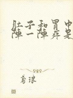 肚子和胃中间一阵一阵疼是什么原因