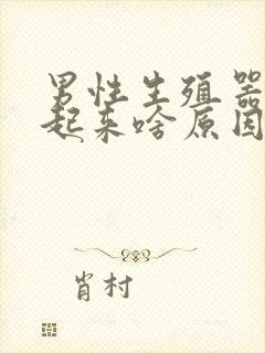 男性生殖器硬不起来啥原因