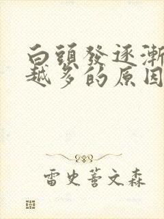 白头发逐渐越来越多的原因