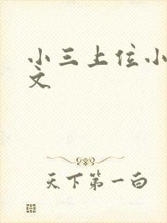 小三上位小说全文封面