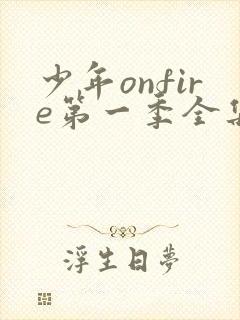 少年onfire第一季全集完整版