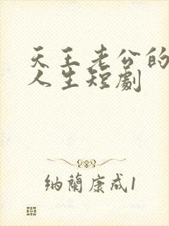 天王老公的灿烂人生短剧