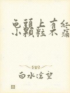 龟头上有红色的小颗粒不痛不痒