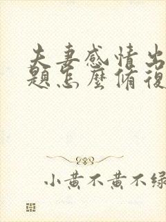 夫妻感情出现问题怎么修复