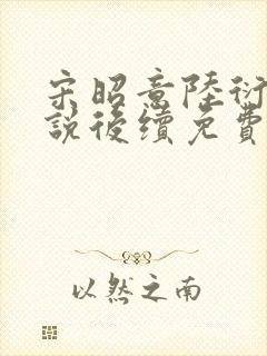 宋昭意陆衍辞小说后续免费阅读封面