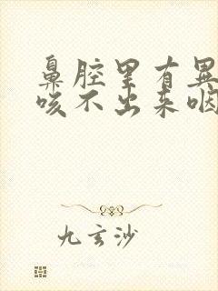 鼻腔里有异物感咳不出来咽不下去封面