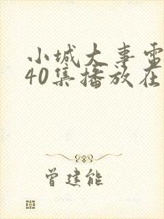 小城大事电视剧40集播放在线观看