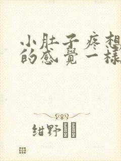 小肚子疼想拉屎的感觉一样怎么回事