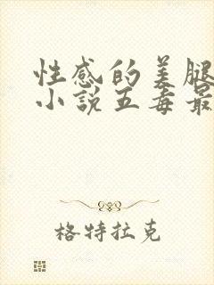 性感的美腿女神小说五毒最新封面