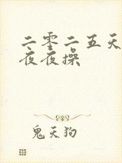 二零二五天天干夜夜操封面
