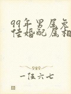 99年男属兔最佳婚配属相