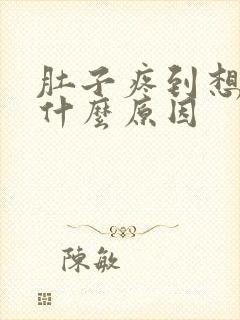 肚子疼到想吐是什么原因