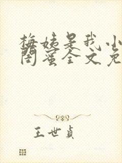 梅姨是我小妈的闺蜜全文免费阅读