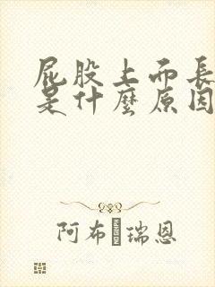 屁股上面长痘痘是什么原因引起的封面