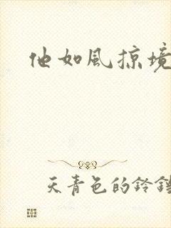 他如风掠境