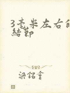 3毫米左右的肺结节