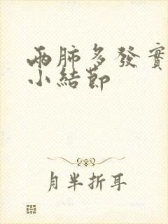 两肺多发实性微小结节