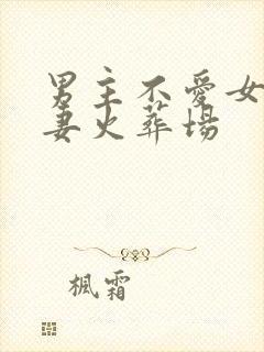 男主不爱女主追妻火葬场