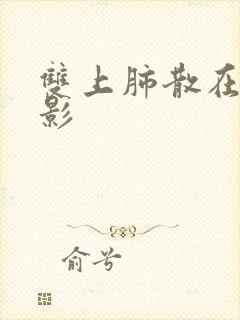 双上肺散在结节影封面