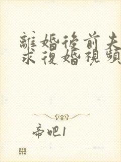 离婚后前夫哭着求复婚视频完整版